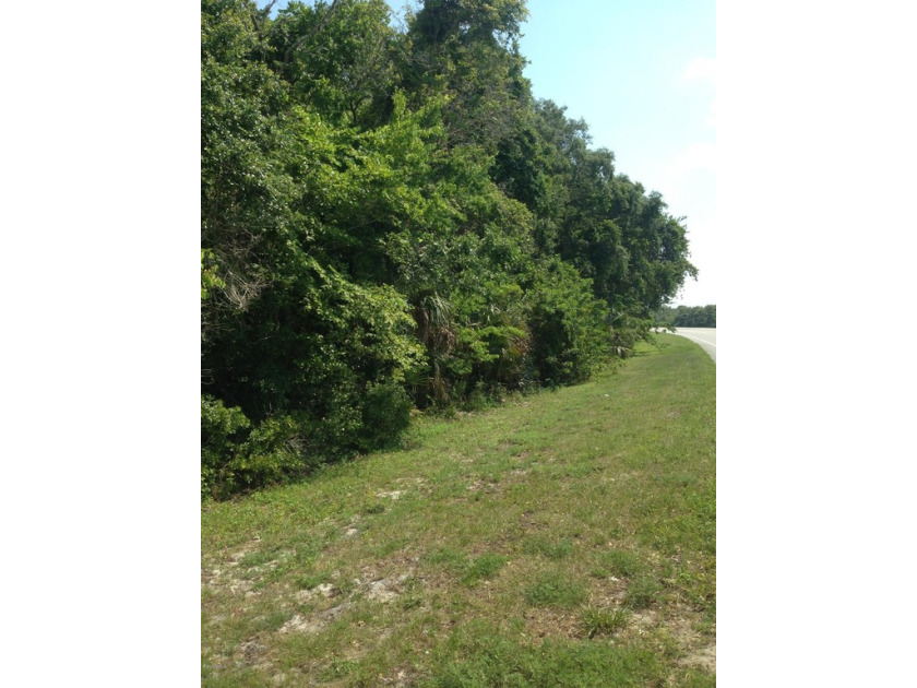 This property is located across from Swan Lake Subd on S R 405 - Beach Acreage for sale in Titusville, Florida on Beachhouse.com