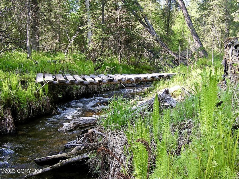 Rare find for 20 acres of privacy with creek running through - Beach Acreage for sale in Wasilla, Alaska on Beachhouse.com