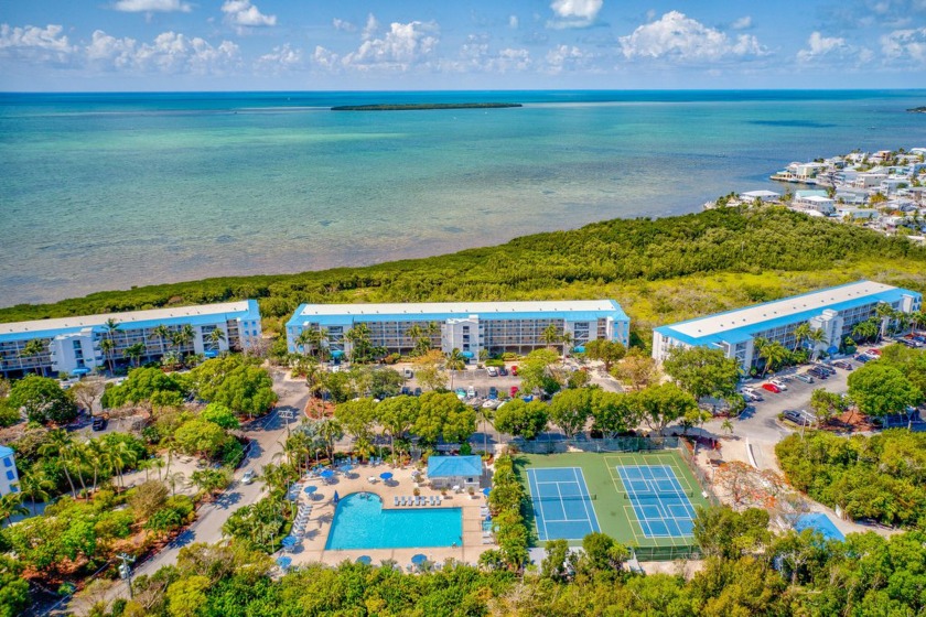 Immerse yourself in the highly desirable Ocean Pointe - Beach Condo for sale in Key Largo, Florida on Beachhouse.com