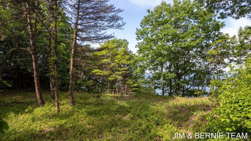 Just north of Saugatuck Dunes State Park, this is a once in a - Beach Acreage for sale in Holland, Michigan on Beachhouse.com