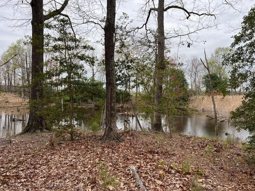 Potomac River/Cod Creek water access 3 lots in Waterfront - Beach Lot for sale in Heathsville, Virginia on Beachhouse.com