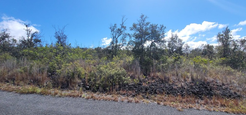 Discover your piece of paradise on this one acre vacant lot for - Beach Lot for sale in Ocean View, Hawaii on Beachhouse.com