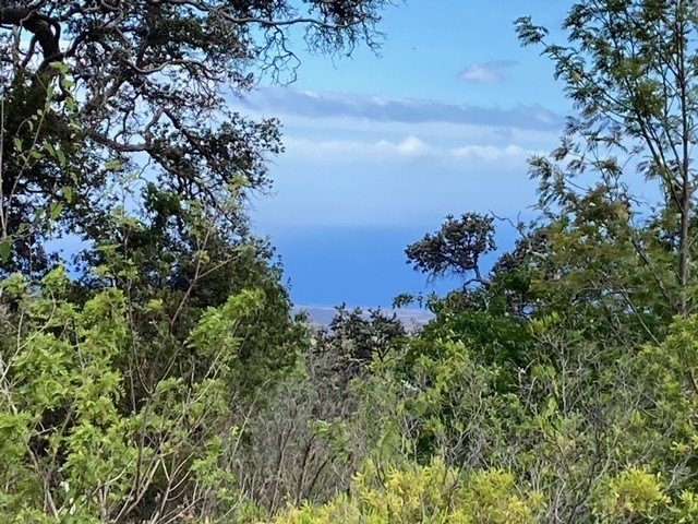 Hawaiian Ocean View Estates - forested view lot in lower HOVE - Beach Lot for sale in Ocean View, Hawaii on Beachhouse.com