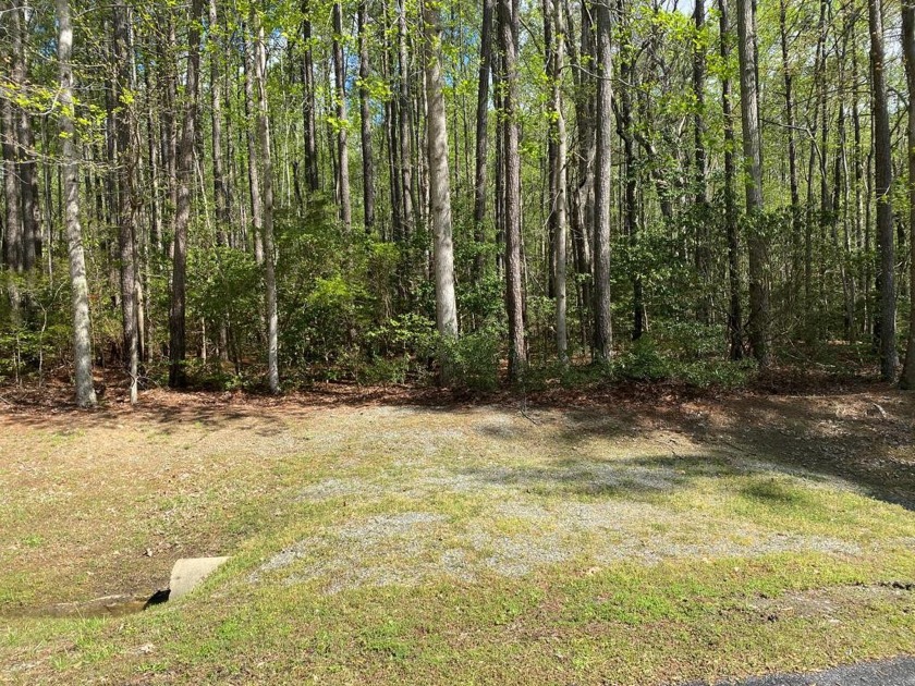 Eagle Landing is a wonderful and peaceful waterfront/water - Beach Lot for sale in Lancaster, Virginia on Beachhouse.com
