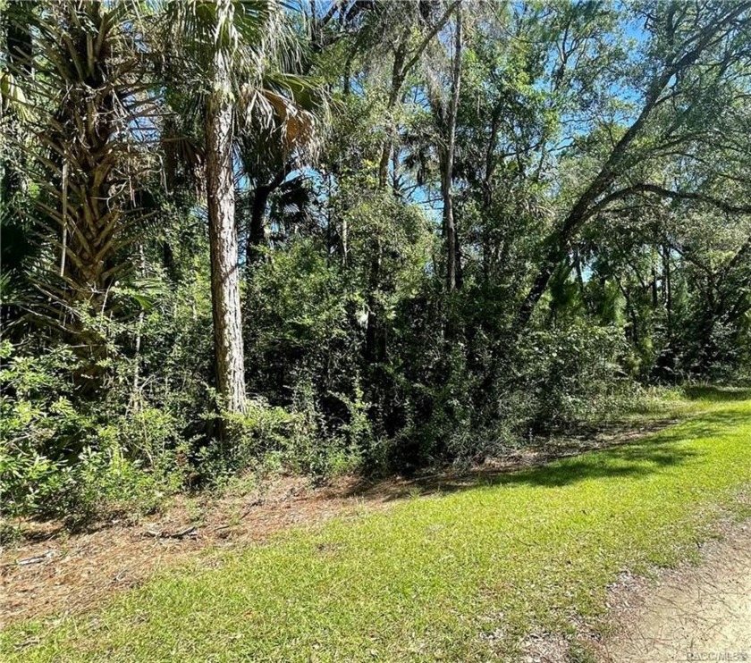 1.25 Acres with CITY WATER in Cason Inglis Acres! Come take a - Beach Lot for sale in Inglis, Florida on Beachhouse.com
