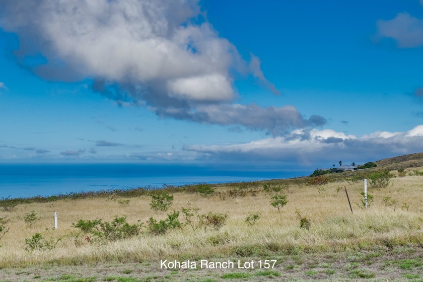 Beautiful, sweeping views (180?) of the Pacific Ocean extending - Beach Acreage for sale in Kamuela, Hawaii on Beachhouse.com