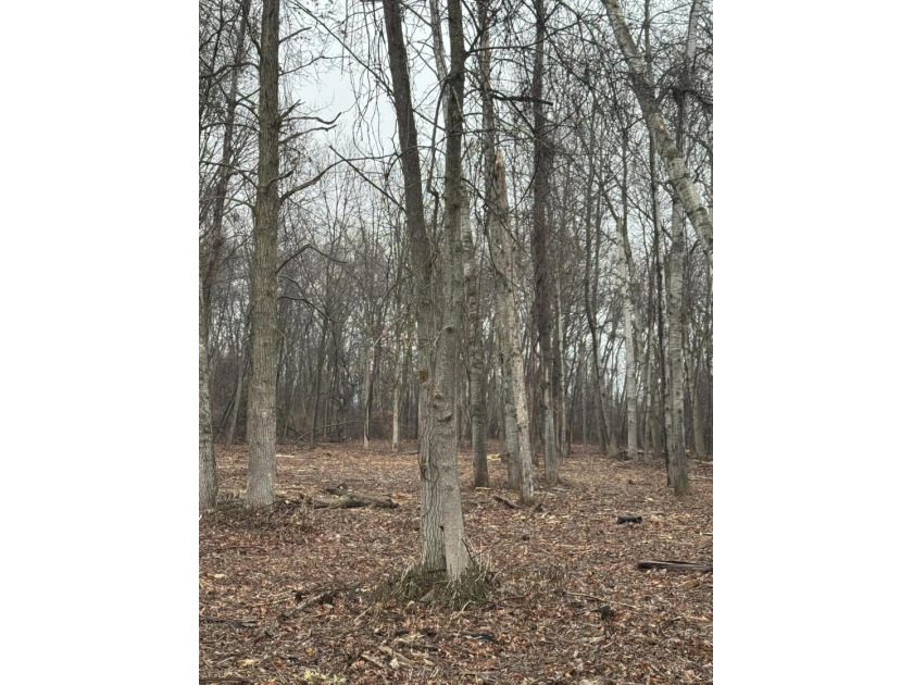 BONUS ACREAGE!!! Build your dream home on this beautiful 1 - Beach Lot for sale in Au Gres, Michigan on Beachhouse.com