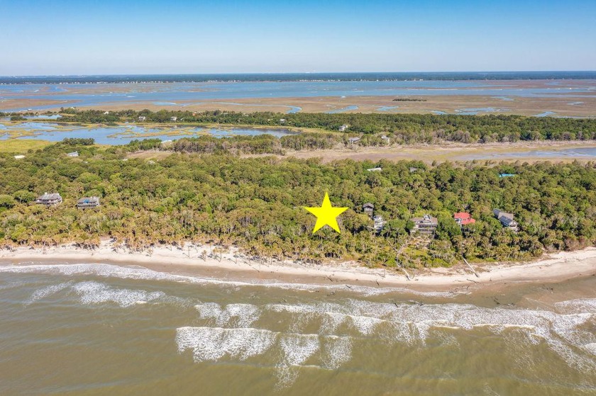 Build your oceanfront retreat on a private island, just 45 - Beach Lot for sale in Dewees Island, South Carolina on Beachhouse.com