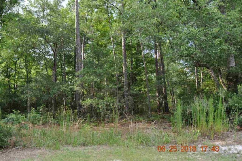 3.58 acre parcel has county water and would make ideal home site - Beach Acreage for sale in Georgetown, South Carolina on Beachhouse.com