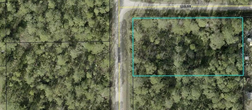 Own YOUR slice of paradise!  Enjoy the freedom to build your - Beach Lot for sale in Bunnell, Florida on Beachhouse.com