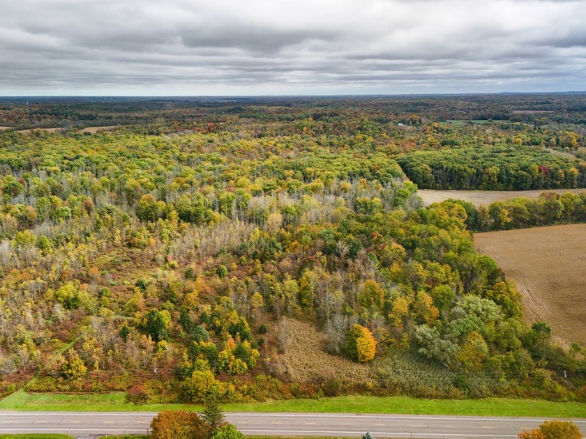 Rising gently along the southern boundary, a wooded ridge - Beach Acreage for sale in Wolcott, New York on Beachhouse.com