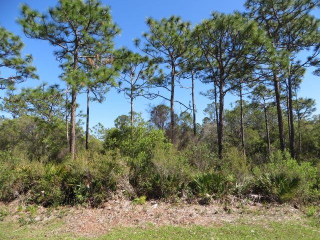 This property is 2.47 acres of native vegetation, shrubs, and - Beach Acreage for sale in Carabelle, Florida on Beachhouse.com