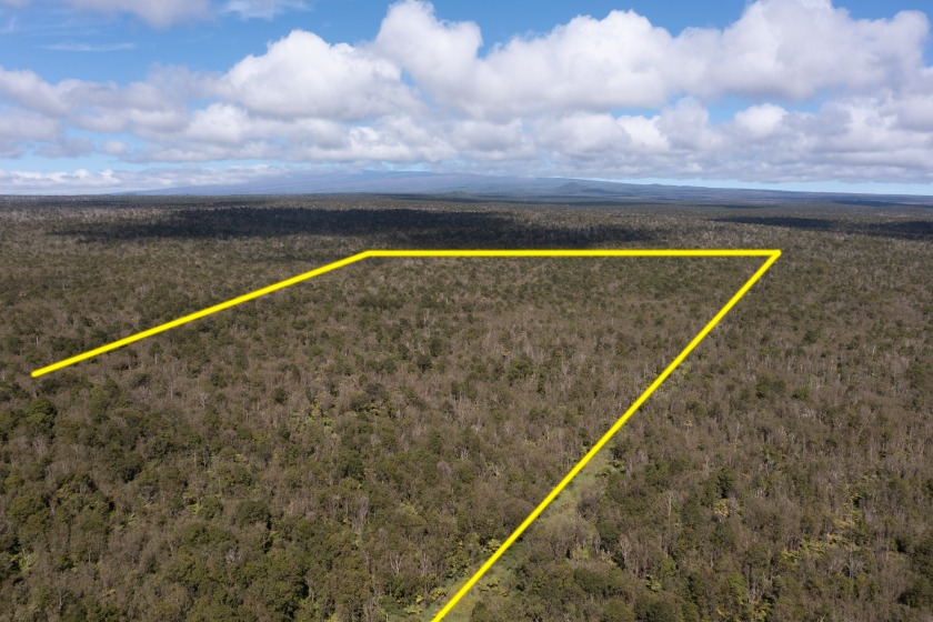 93 unspoiled acres with privacy, privacy, privacy. Access by - Beach Acreage for sale in Mountain View, Hawaii on Beachhouse.com