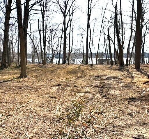 Build your dream home on this large .32 acre vacant lot. Views - Beach Lot for sale in Coloma, Michigan on Beachhouse.com