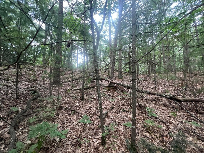 Look at this affordable parcel. Just in time for spring/summer! - Beach Lot for sale in Pentwater, Michigan on Beachhouse.com