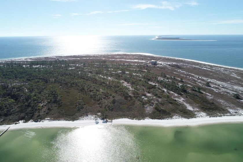 Unique opportunity to own 20 bayfront acres on Dog Island - Beach Acreage for sale in Carabelle, Florida on Beachhouse.com