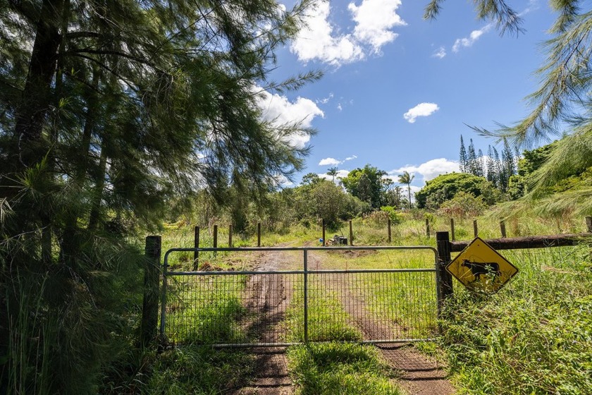 This property is something special. Just over 10 acres of fee - Beach Acreage for sale in Mountain View, Hawaii on Beachhouse.com