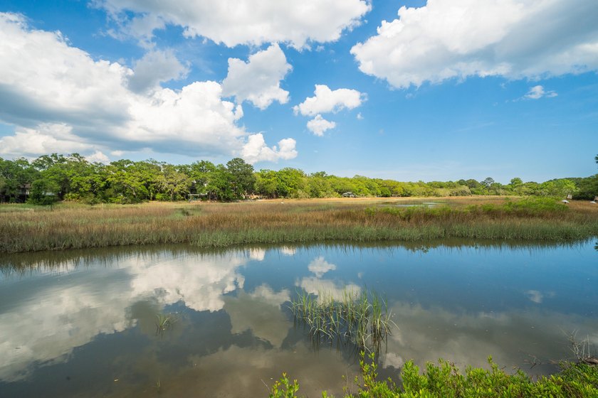 Welcome to 1244 Cornwallis Drive, a James Island tidal creek gem - Beach Home for sale in Charleston, South Carolina on Beachhouse.com