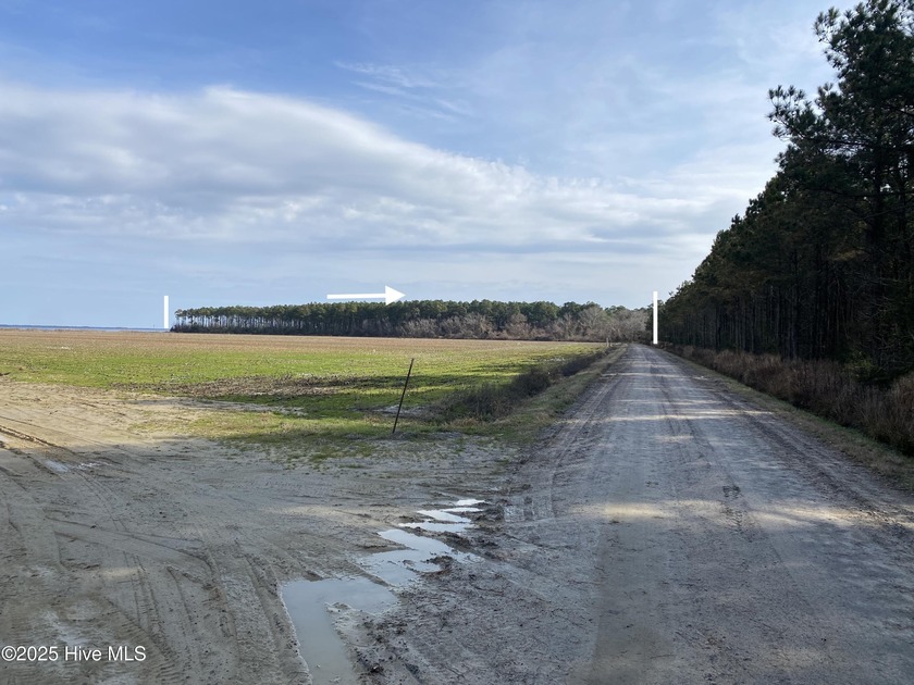 An ''Outdoor Pursuits Paradise'' like no other -A destination - Beach Acreage for sale in Elizabeth City, North Carolina on Beachhouse.com