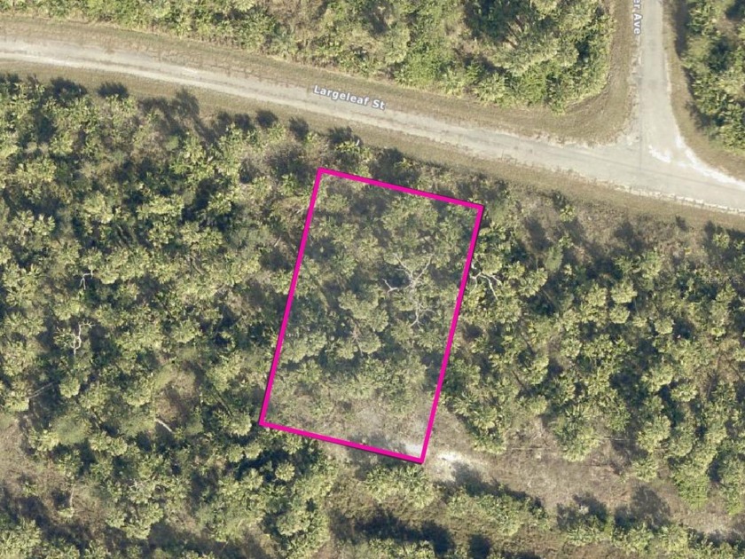 Discover the perfect opportunity to own a piece of fast-growing - Beach Lot for sale in North Port, Florida on Beachhouse.com