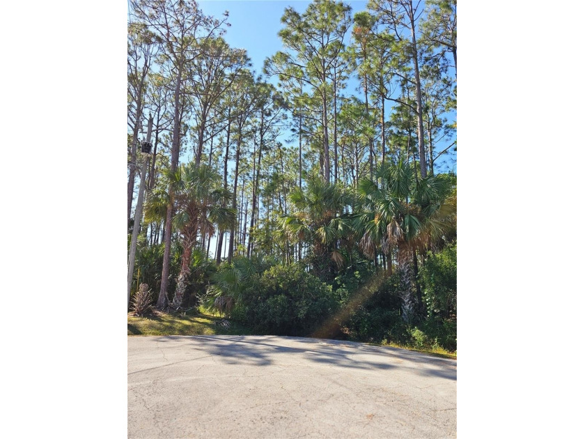 This oversized lot is located at the end of street on a cul de - Beach Lot for sale in Palm Coast, Florida on Beachhouse.com