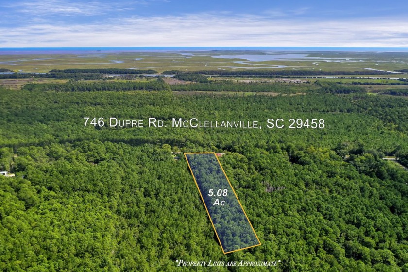 Discover the perfect canvas for your dream home only one and a - Beach Acreage for sale in Mcclellanville, South Carolina on Beachhouse.com