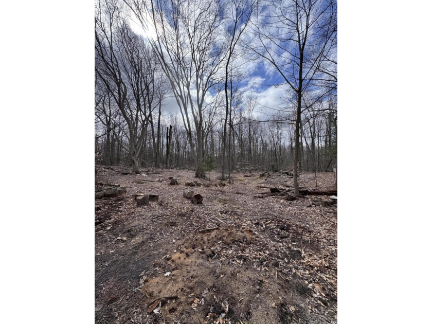 This beautiful piece of land offers the perfect blend of open - Beach Acreage for sale in West Olive, Michigan on Beachhouse.com