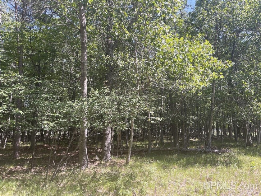 Beautiful wooded double lot along hole #12 fairway on Lake Bluff - Beach Lot for sale in Gladstone, Michigan on Beachhouse.com
