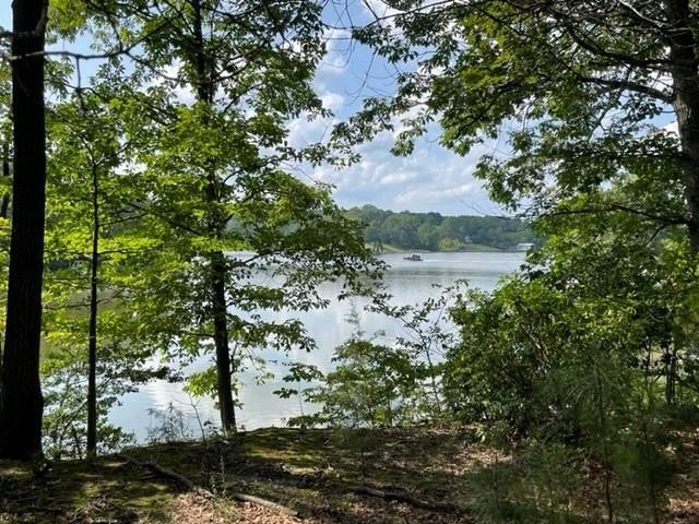 Large waterfront parcel with frontage on Mill Creek, a tributary - Beach Lot for sale in Callao, Virginia on Beachhouse.com