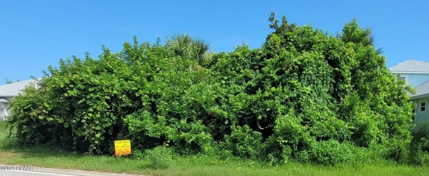 RARE OPPORTUNITY (NO HOA) - BEACHSIDE LOT (1 1/2 lots = 80' x - Beach Lot for sale in Ormond Beach, Florida on Beachhouse.com