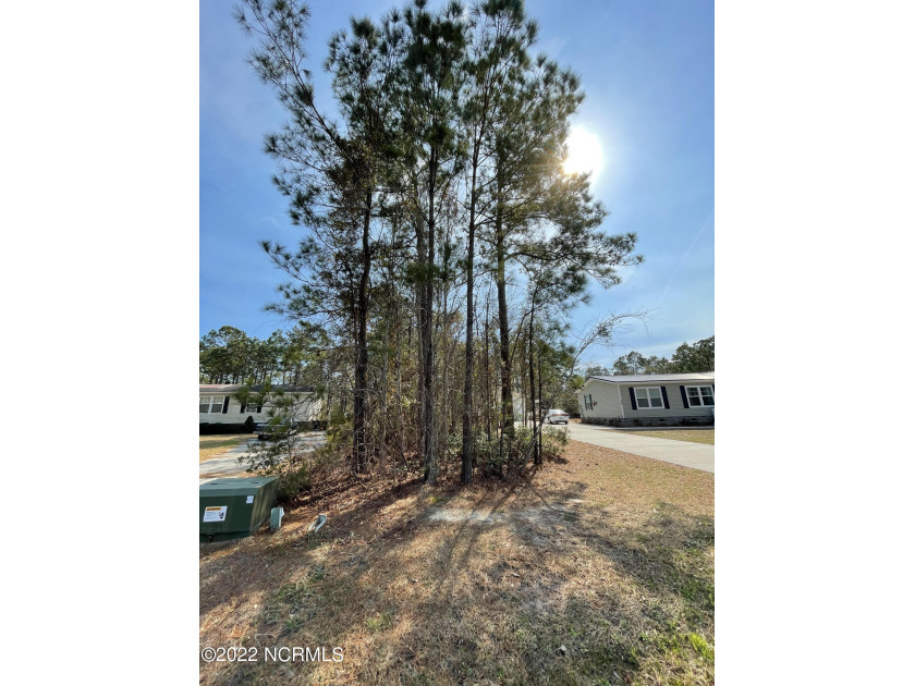 This one is priced to go... under tax assessed value. A - Beach Lot for sale in Peletier, North Carolina on Beachhouse.com