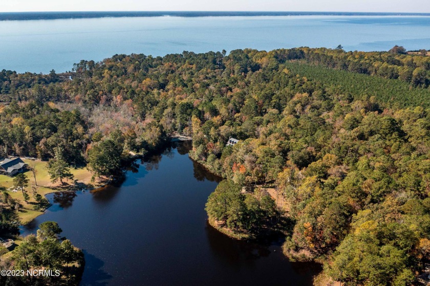 Located in the Bluffs, this gorgeous lakefront property is - Beach Lot for sale in Arapahoe, North Carolina on Beachhouse.com
