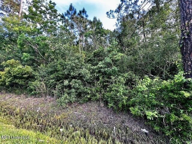 Two Wooded Residential Lots in Charming Coastal Waveland, MS - Beach Lot for sale in Waveland, Mississippi on Beachhouse.com