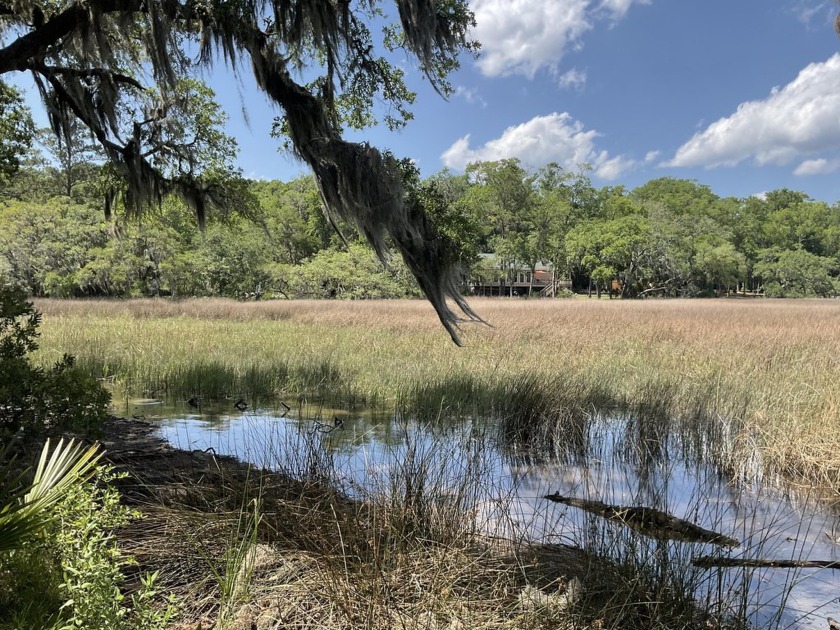 Looking for a private mini-estate? Here's 4.38 acres (3.24 - Beach Acreage for sale in Edisto Island, South Carolina on Beachhouse.com