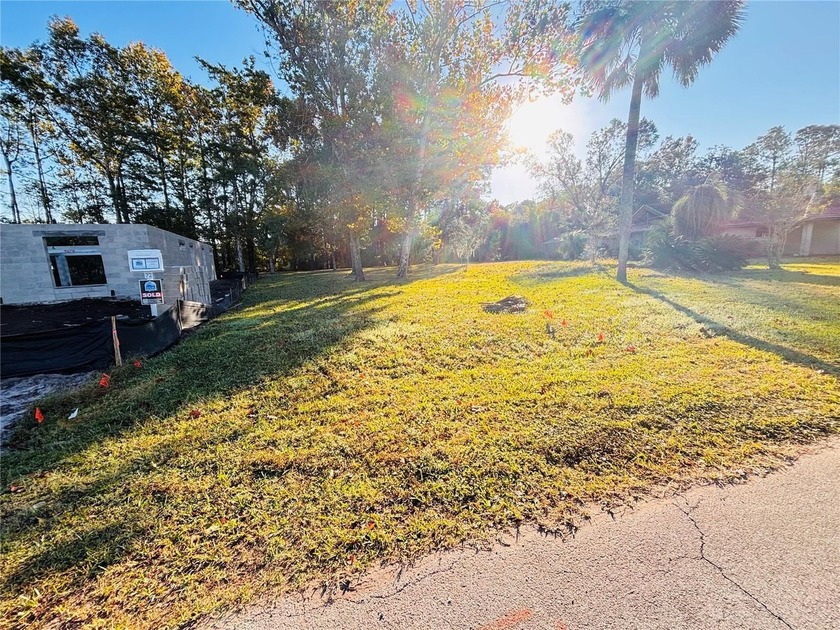 Beautiful all cleared oversized lot  on the fresh water canal in - Beach Lot for sale in Palm Coast, Florida on Beachhouse.com