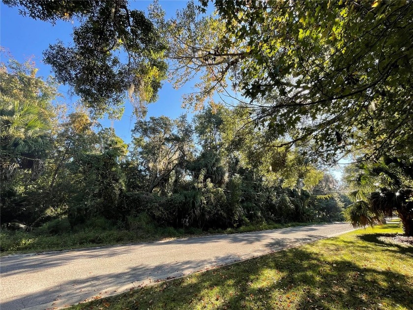 Over one acre in the desirable Bulow Woods neighborhood, off - Beach Lot for sale in Flagler Beach, Florida on Beachhouse.com