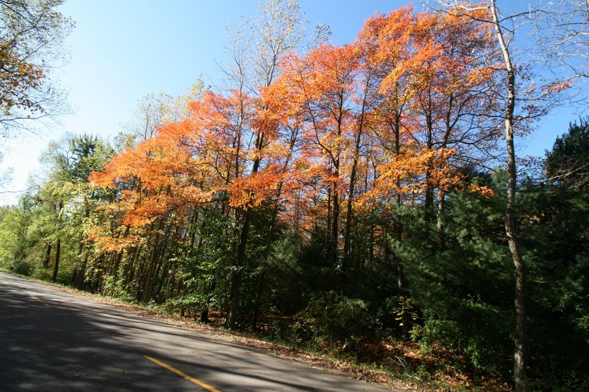 Beautiful wooded 4.32 Acre parcel just south of the quaint - Beach Acreage for sale in South Haven, Michigan on Beachhouse.com