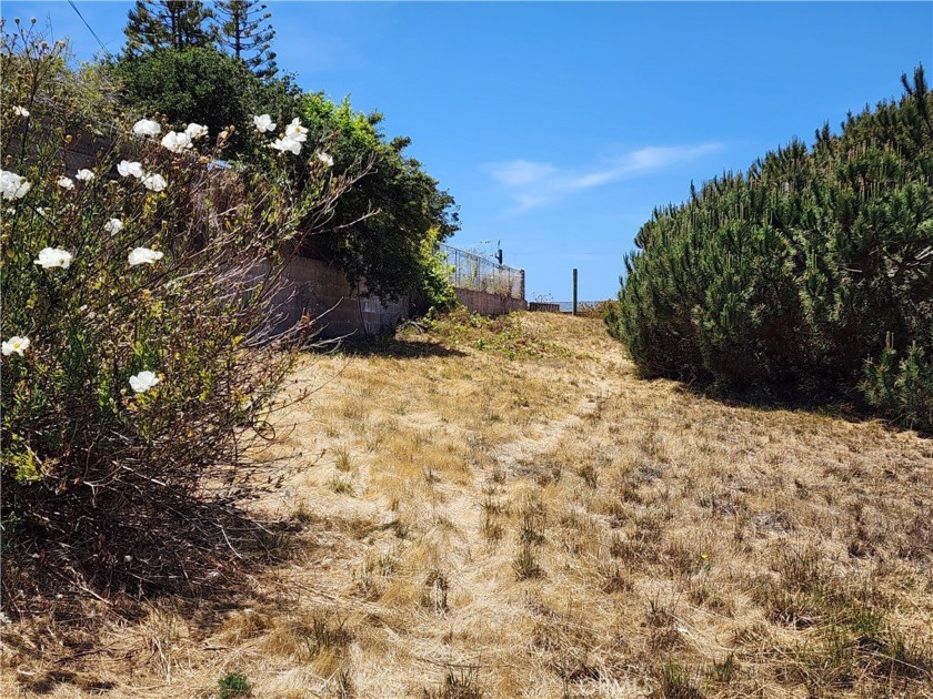 Double Your Luck with This Prime Baywood Park Lot! Here's your - Beach Lot for sale in Los Osos, California on Beachhouse.com