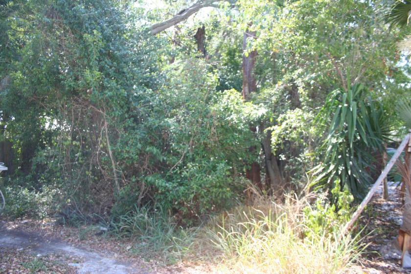 Wooded lot Tier 3 and X zone. Houses on either side of the - Beach Lot for sale in Key Largo, Florida on Beachhouse.com