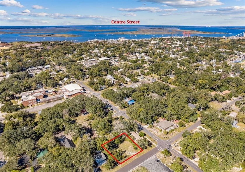 Discover an exceptional opportunity in one of Fernandina Beach's - Beach Lot for sale in Fernandina Beach, Florida on Beachhouse.com