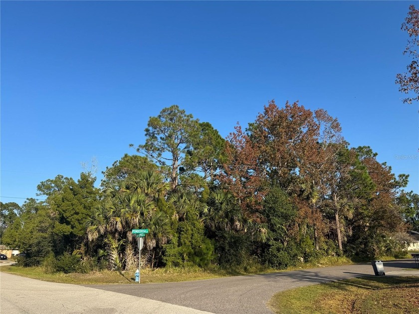RARE Oversized Corner Lot in Palm Coast -- Over 1/3 Acre-Zoned - Beach Lot for sale in Palm Coast, Florida on Beachhouse.com