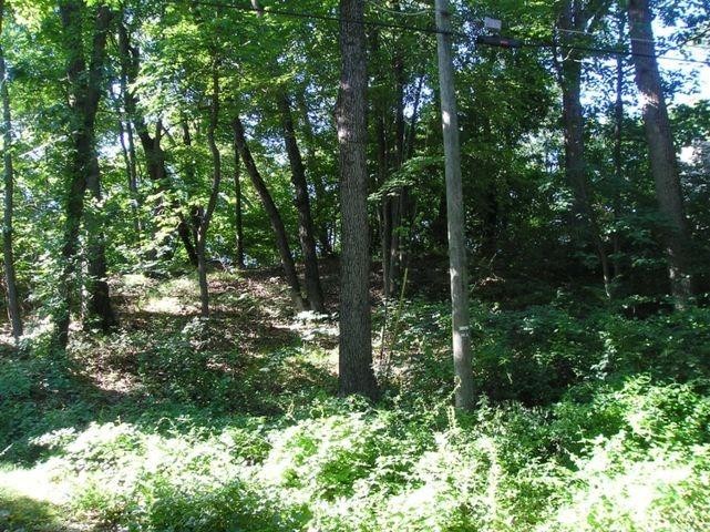Build your Dream Home in the Village of Michiana!. Two Elevated - Beach Lot for sale in New Buffalo, Michigan on Beachhouse.com