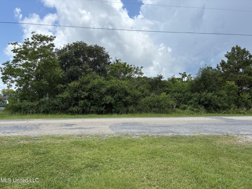 Unlock the potential of this rare 100x100 wooded waterfront lot - Beach Lot for sale in Bay Saint Louis, Mississippi on Beachhouse.com