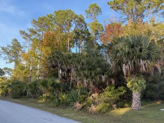 Two oversized lots listed separately, totaling over half acre of - Beach Lot for sale in Palm Coast, Florida on Beachhouse.com