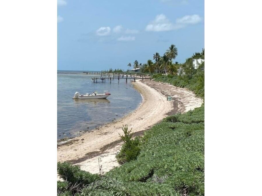 Beautiful secluded tropical island lot with 100' of waterfront - Beach Lot for sale in Big Pine Key, Florida on Beachhouse.com