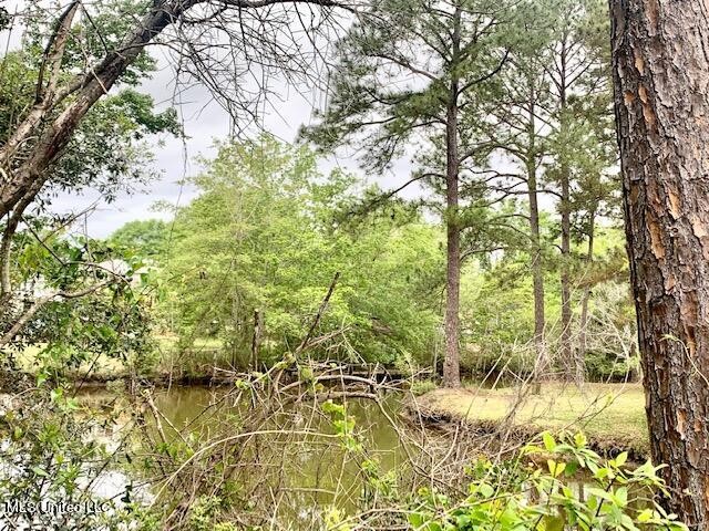 Beautiful Waterfront Lot with Gulf Access.   Ready for your - Beach Lot for sale in Gautier, Mississippi on Beachhouse.com