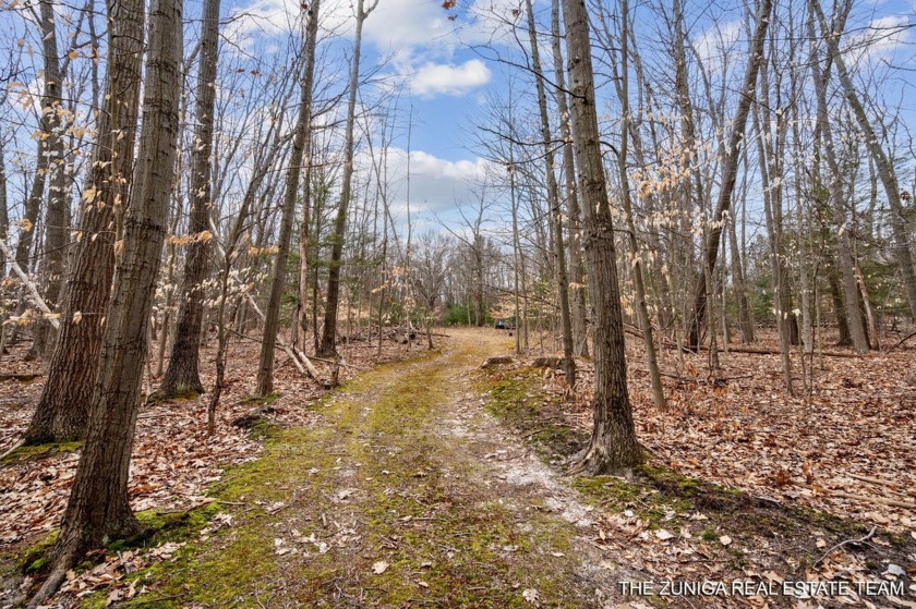 Build Your Dream on 16.48 Acres in Scenic Fruitland Township - Beach Acreage for sale in Whitehall, Michigan on Beachhouse.com