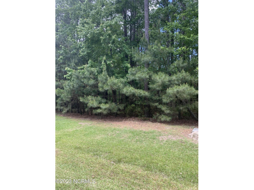 Beautiful building lot on over a half acre lot in Albamarle - Beach Lot for sale in Hertford, North Carolina on Beachhouse.com