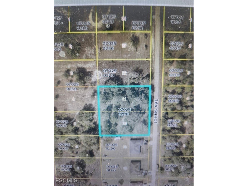 NOT A FLOOD ZONE, NOT IN WETLANDS LOT IN THE COUNTRY! Beautiful - Beach Lot for sale in Lehigh Acres, Florida on Beachhouse.com