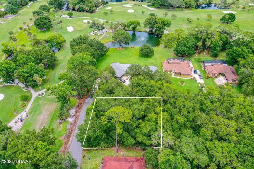 Spacious 120 x 110 corner lot, with great views of the Riviera - Beach Lot for sale in Holly Hill, Florida on Beachhouse.com
